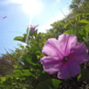 Meet your Posher, Gracey